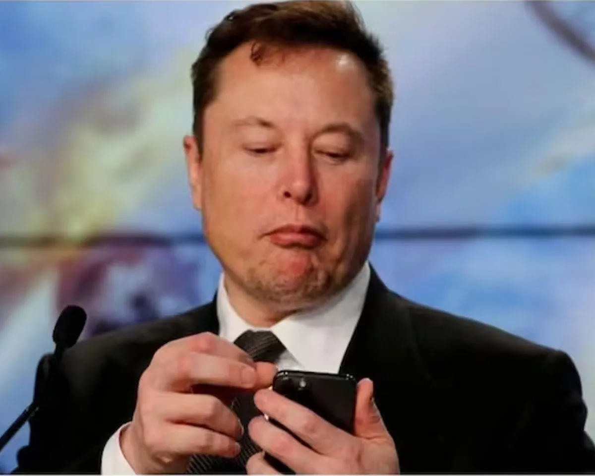 elon musk loss