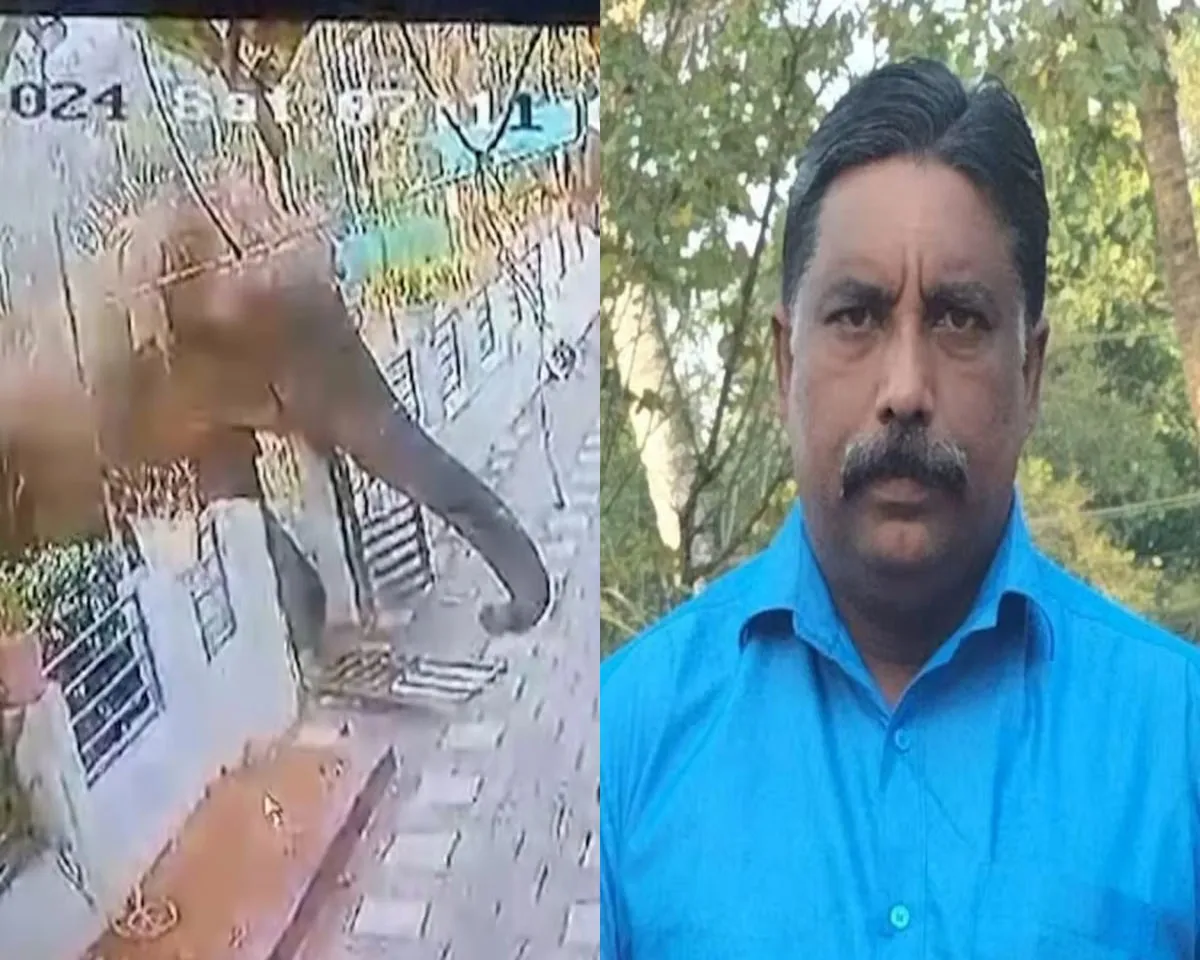 ajeesh elephant.jpg