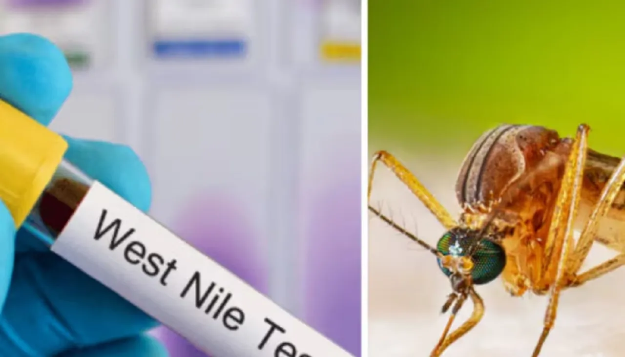 westnile Untitledci
