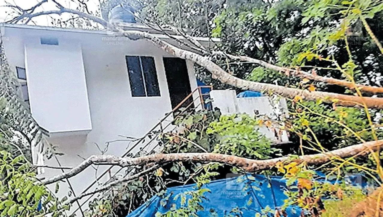 കടുത്തുരുത്തി മേഖലയിൽ മഴയോടൊപ്പം വീശുന്ന ശക്തമായ കാറ്റ് ദുരിതം വിതയ്ക്കുന്നത് തുടരുന്നു. മരം വീണ് തകർന്ന വീടുകളുടെ എണ്ണം പന്ത്രണ്ടായി. വീട്ടുപരിസരങ്ങളിൽ അപകടകരമായി നിൽക്കുന്ന മരങ്ങൾ വെട്ടി മാറ്റാണമെന്ന് അധികൃതർ
