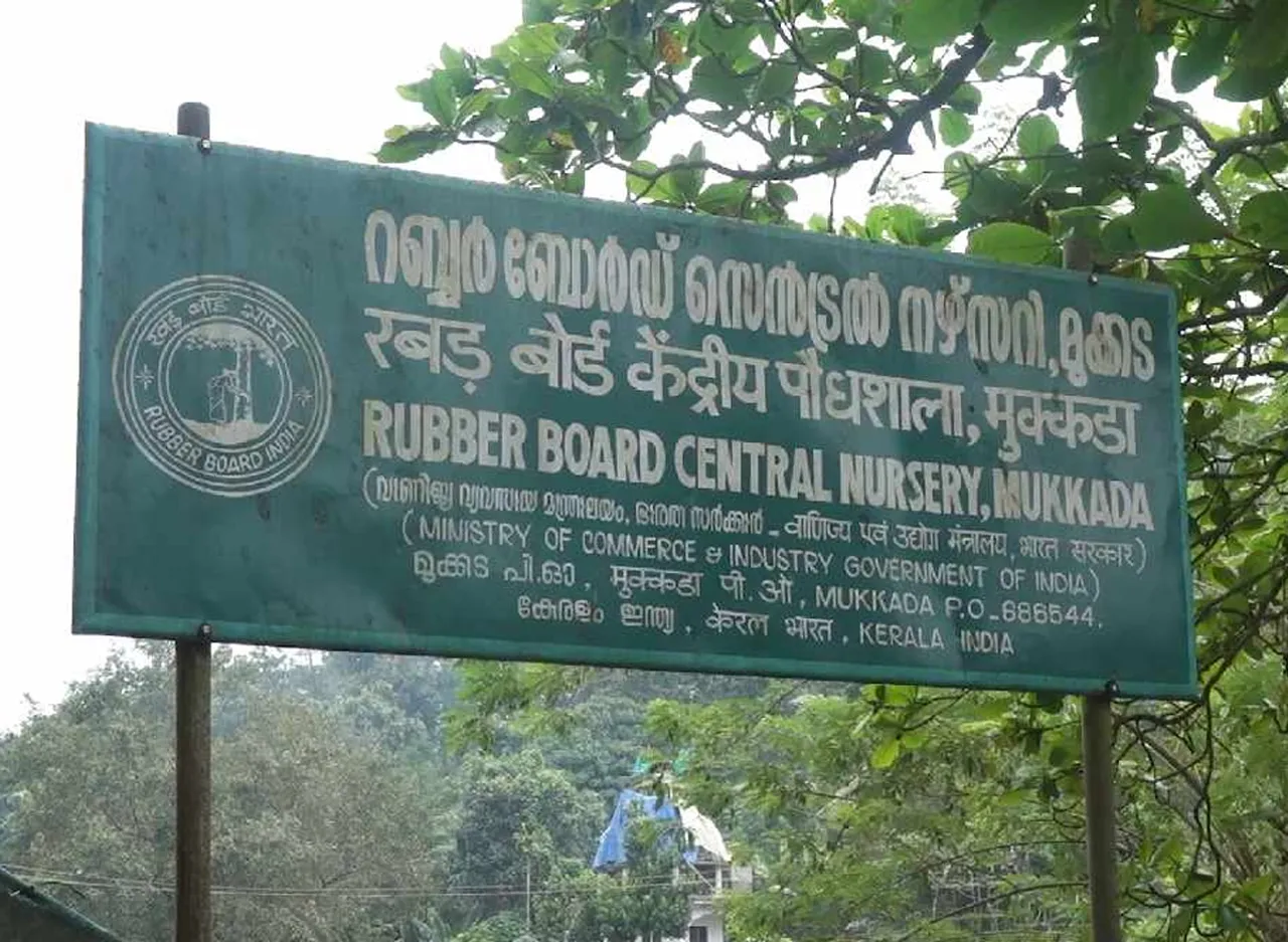 rubber nursury mukkada