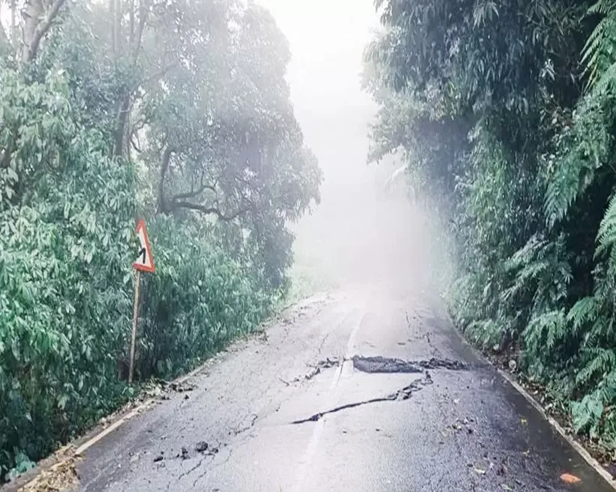 nedumpoyil road