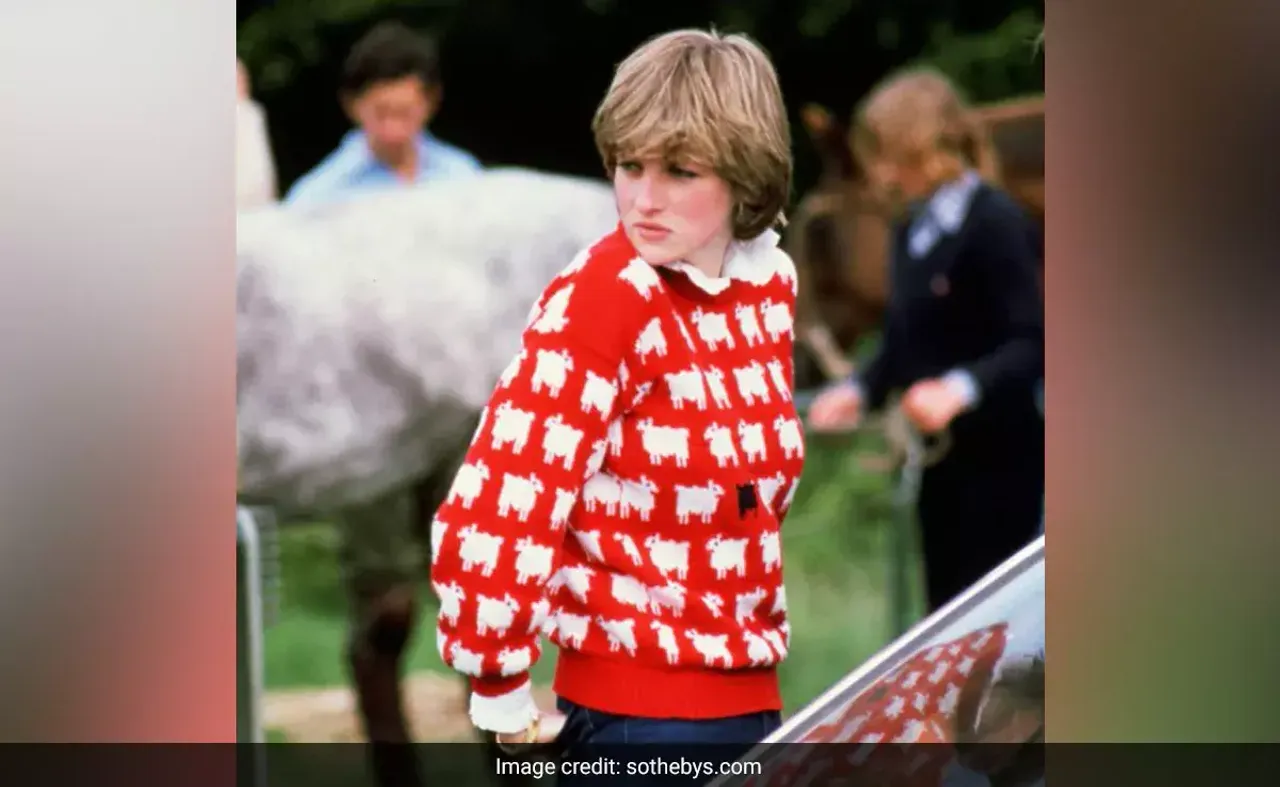 1388917-dianas-sweater.webp