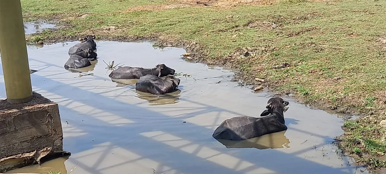 kadukkamkunnam nilampathi bridge