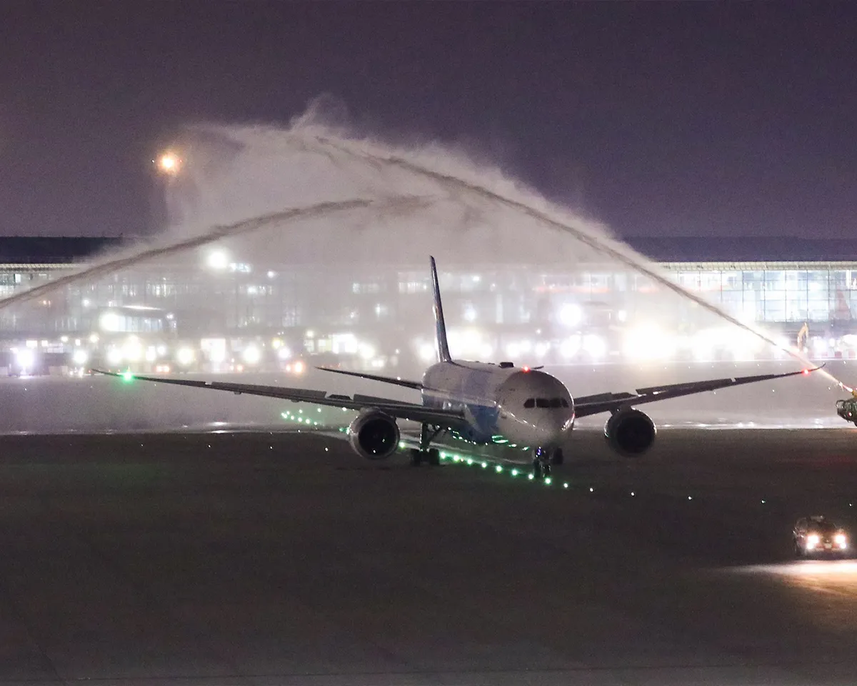 southern-airlines