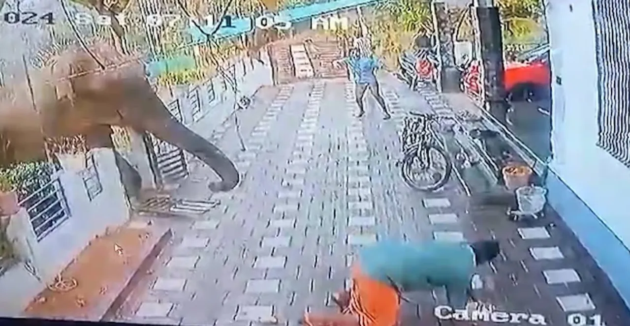 ccsfUntitled