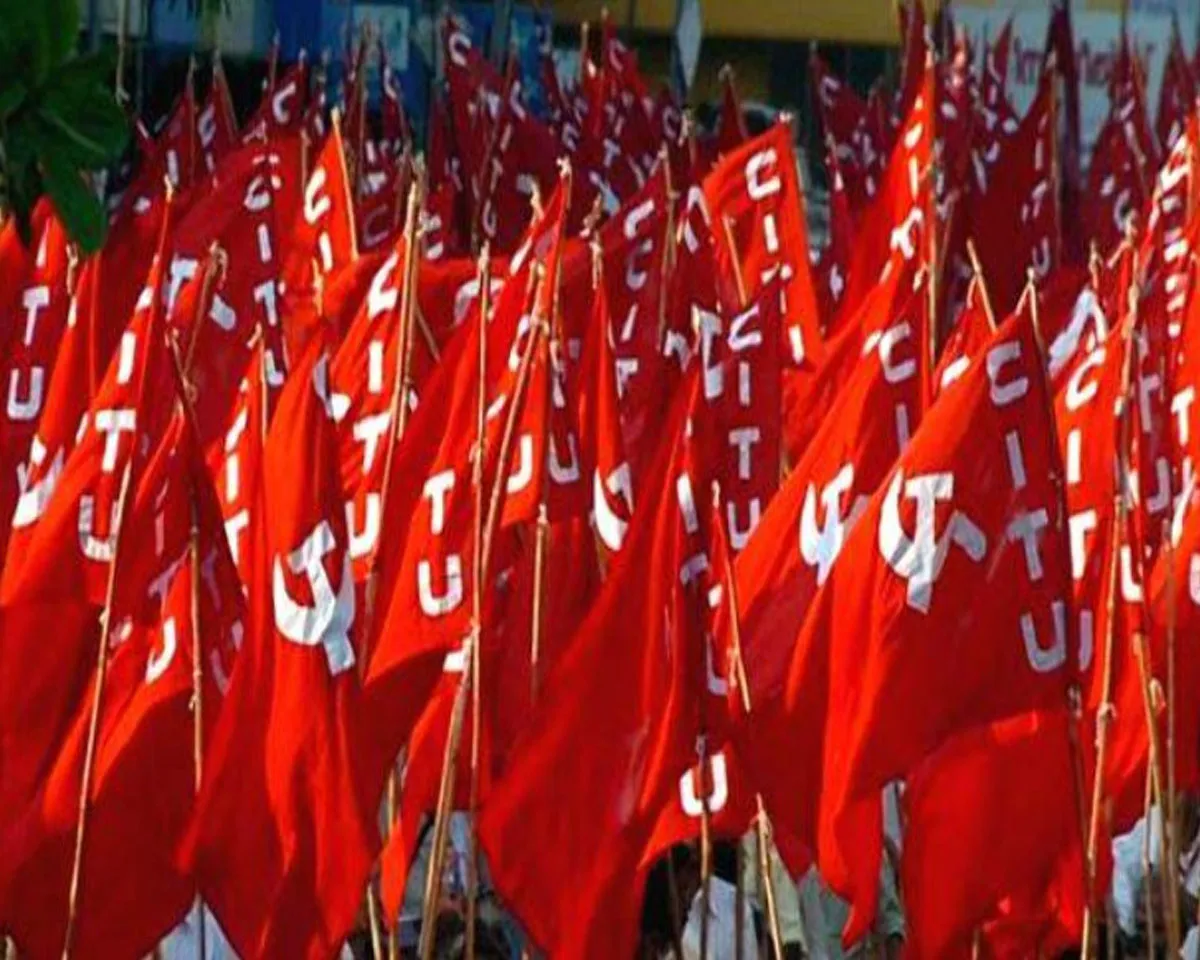 citu waynad.
