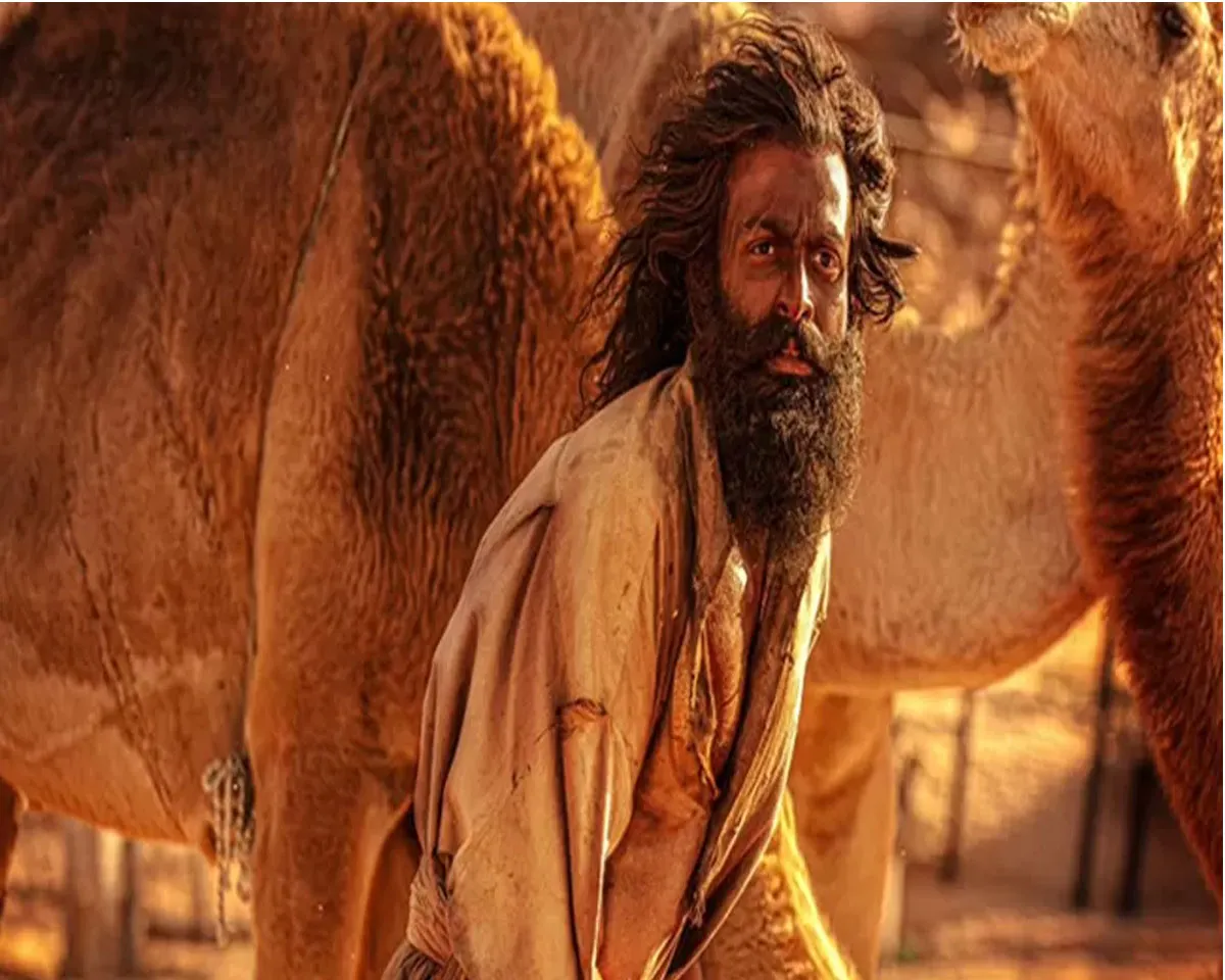 goat life presale.jpg