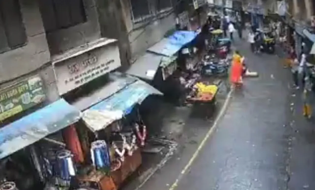 dog fell