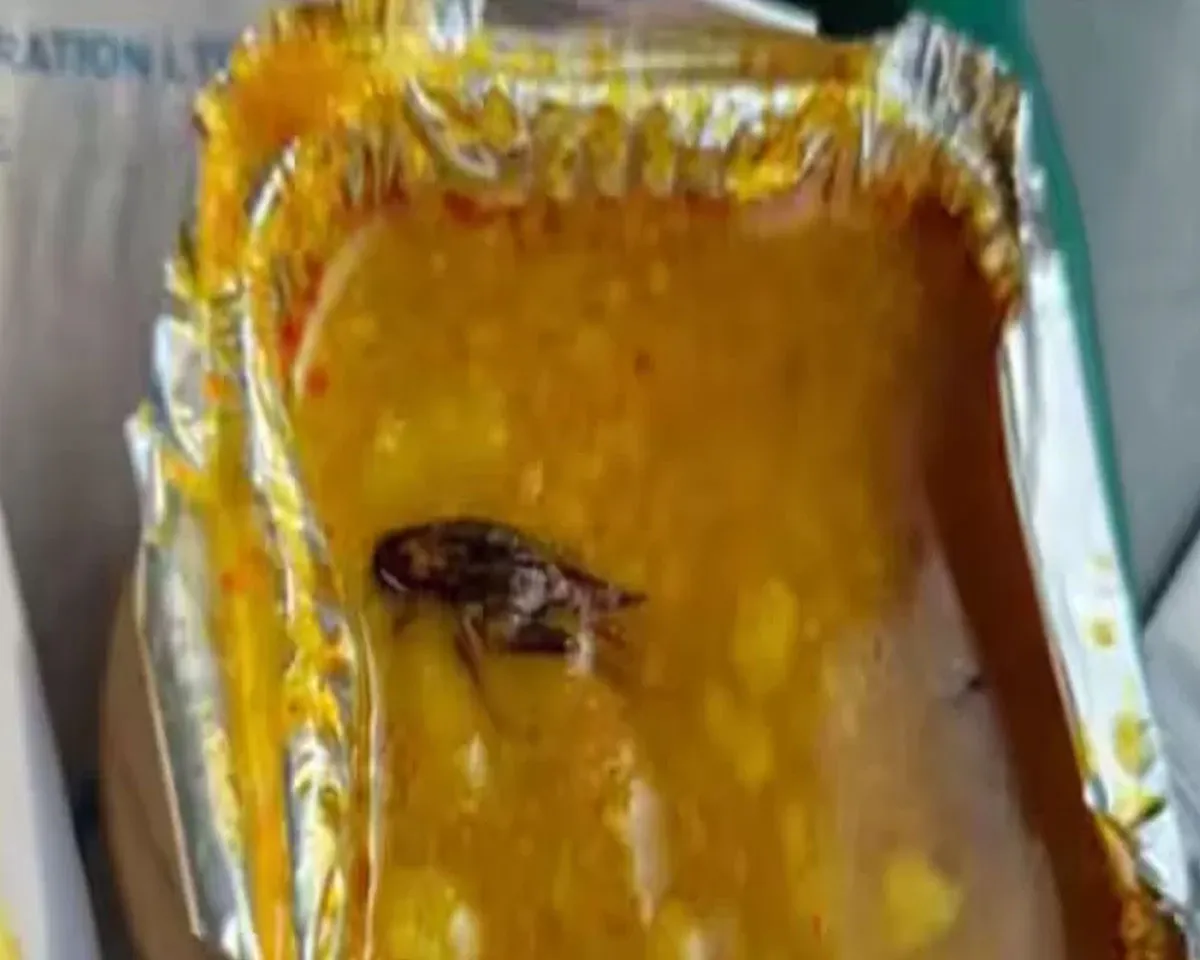 paatta vande bharat.jpg