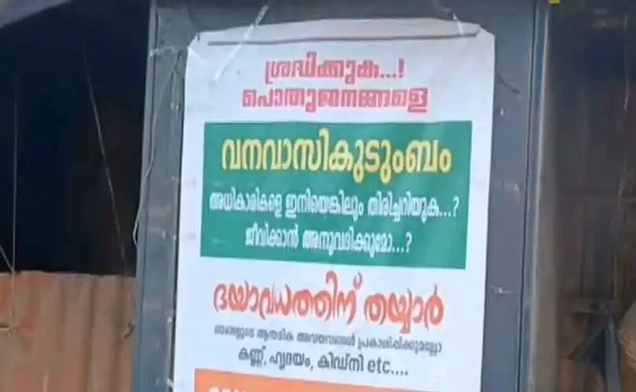 45565777
