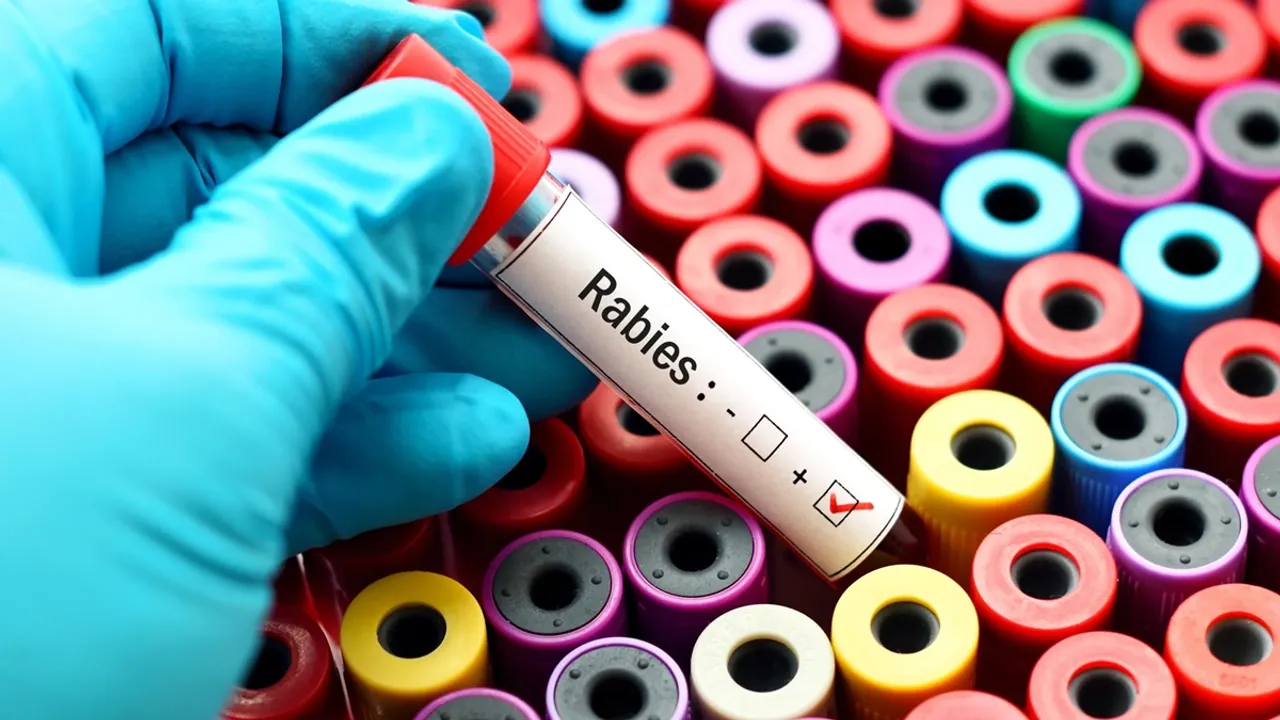 rabies