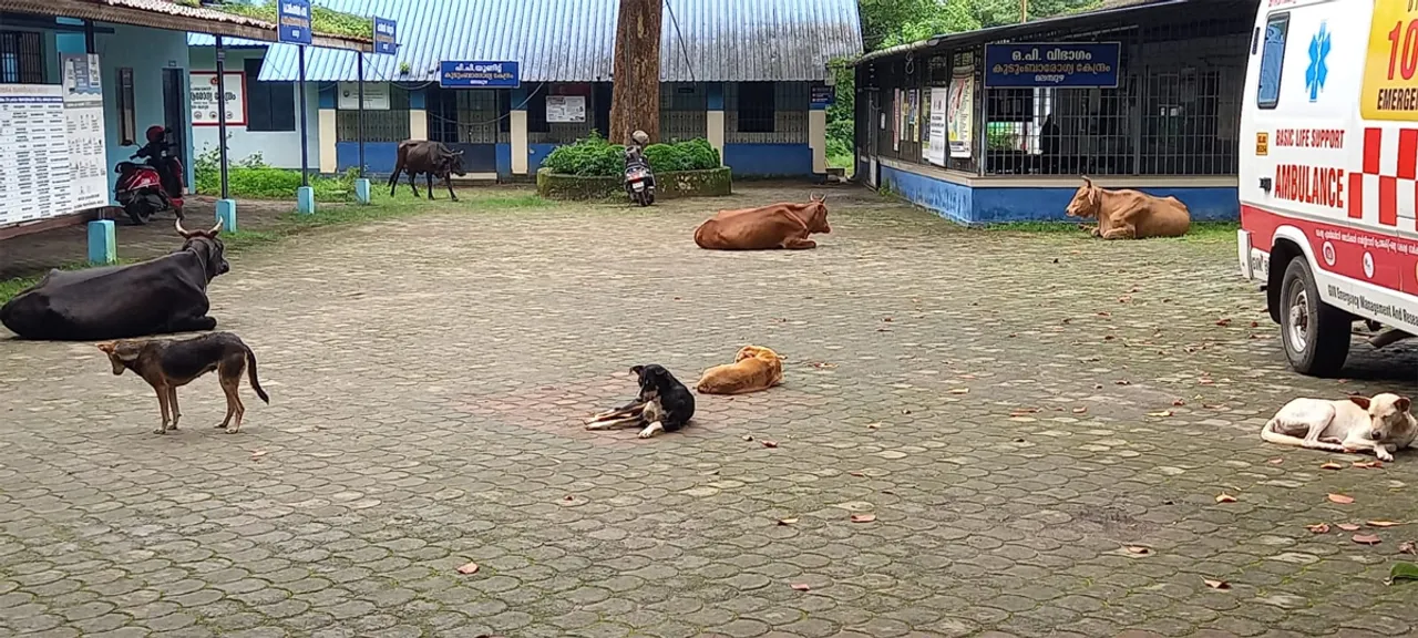 primary health centre malambuzha