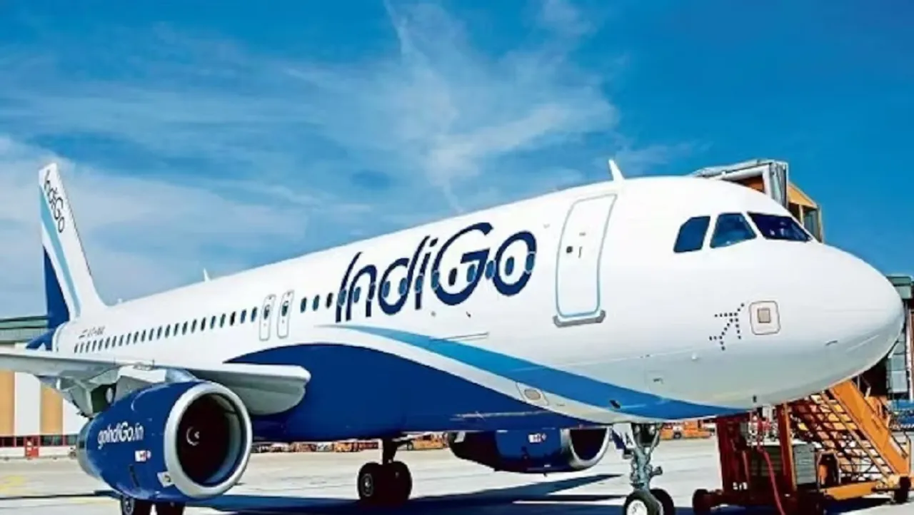 indigo Untitled..90.jpg 