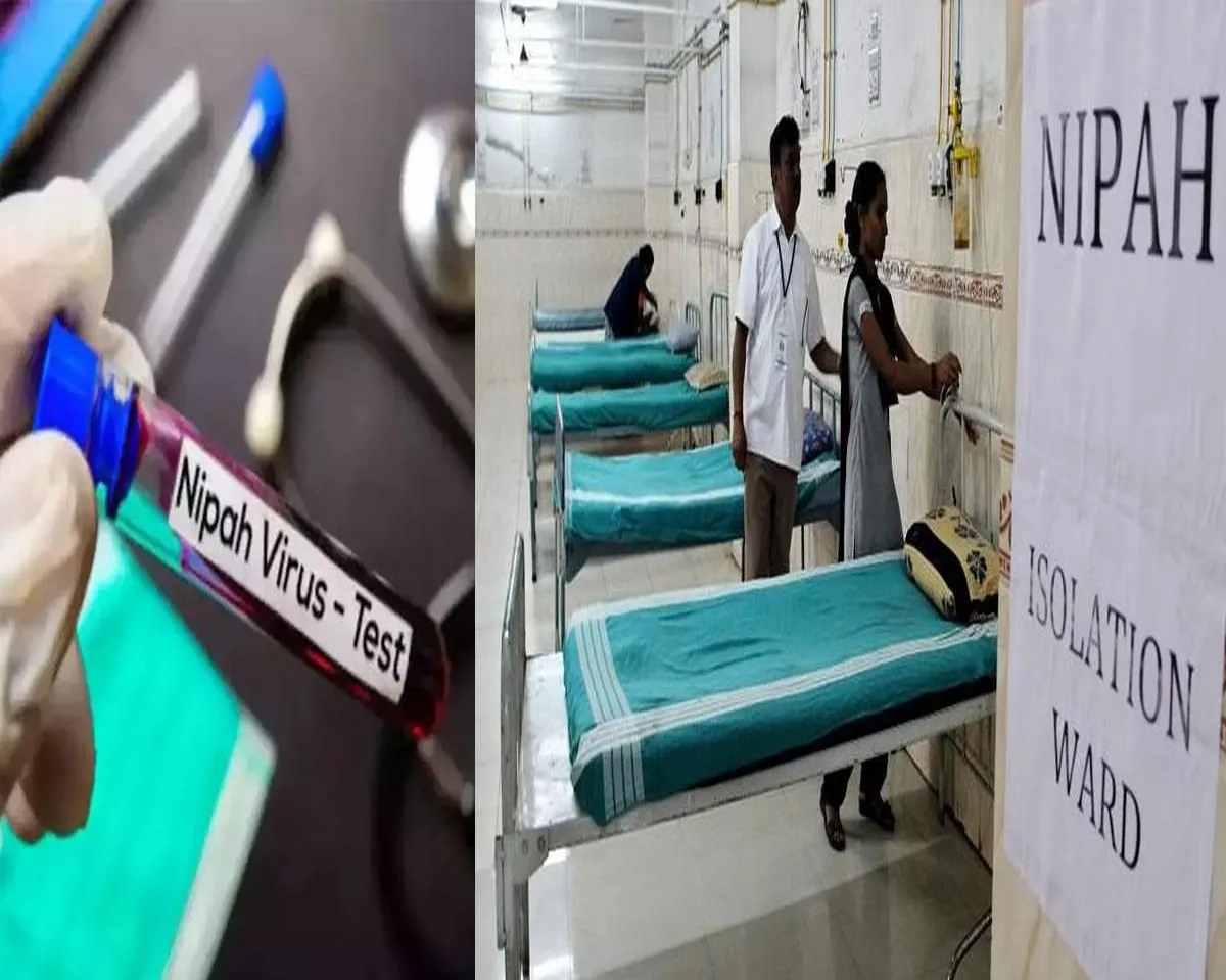 nipah result