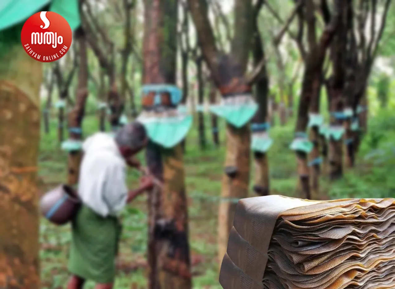 rubber industry