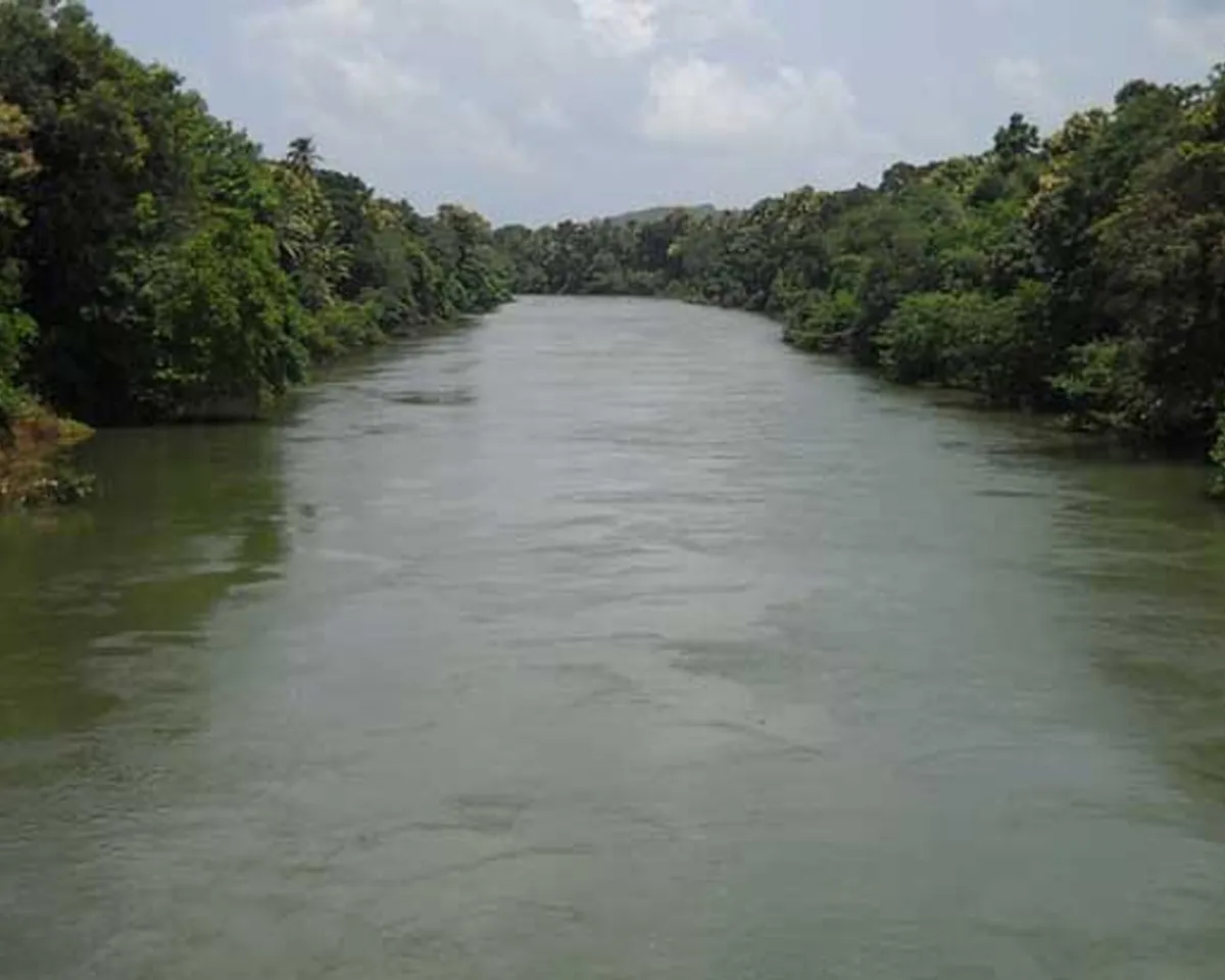 meenachil river