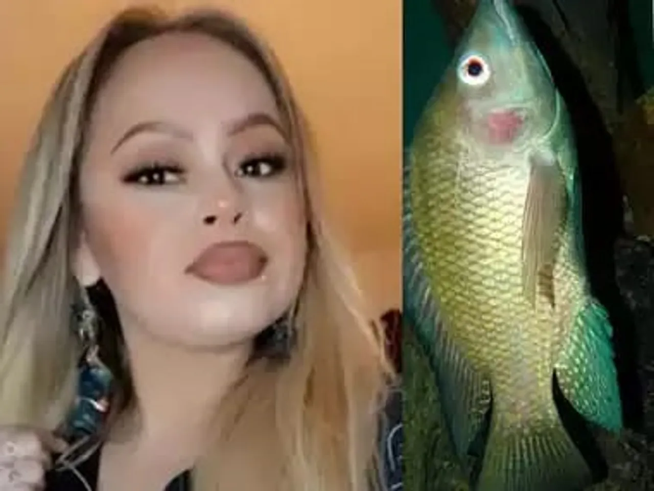 fish news
