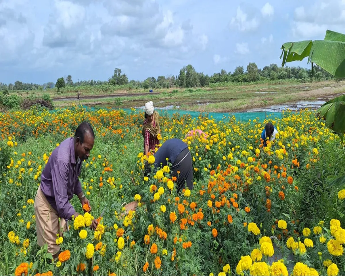 atham pirannu