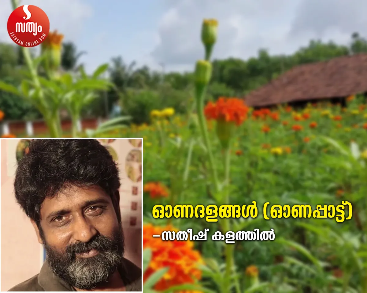 satheesh kalathil song-2
