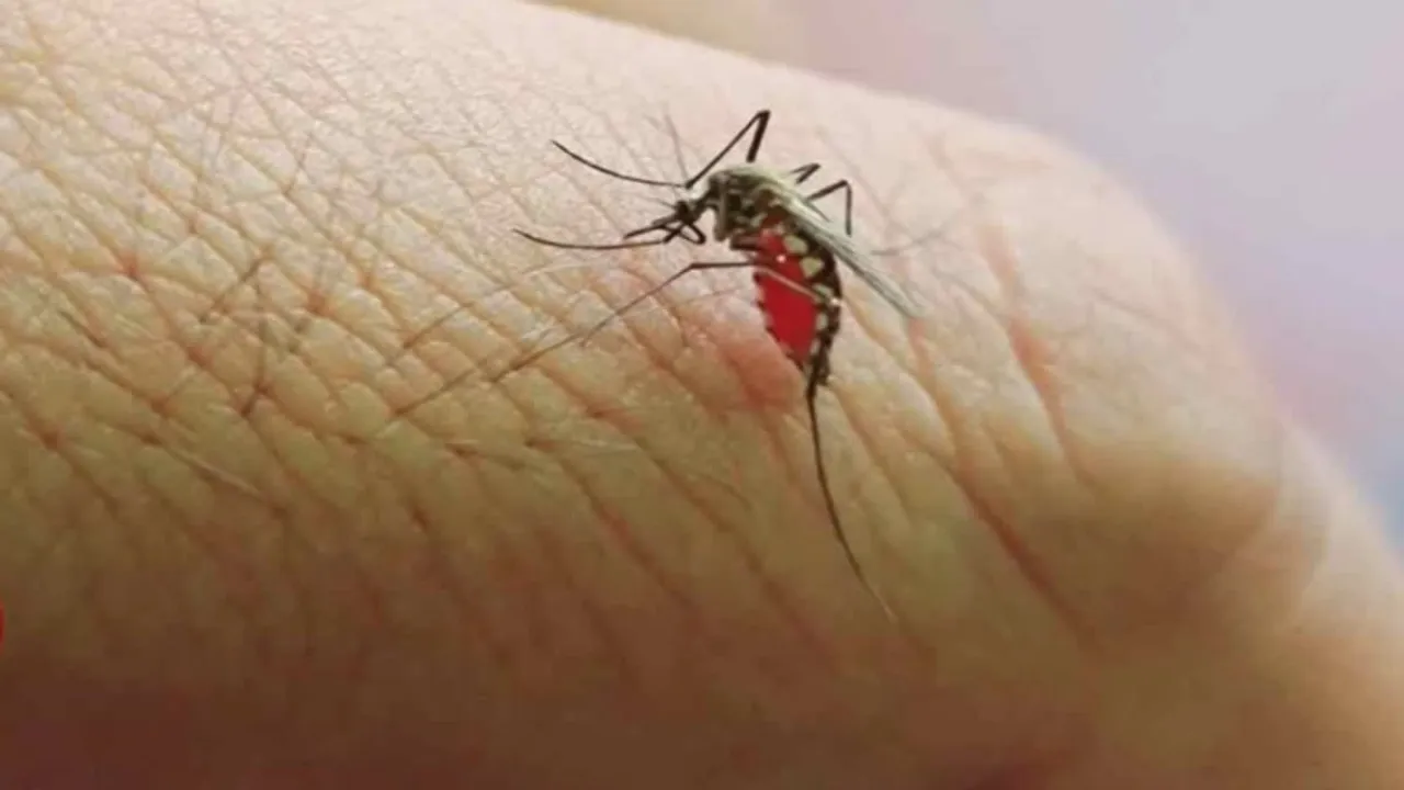 1200-675-21407058-thumbnail-16x9-west-nile.jpg