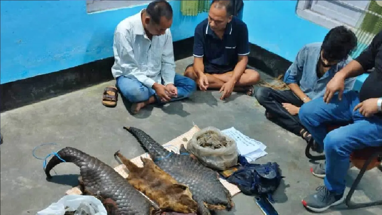 Organs Of Endangered Animals