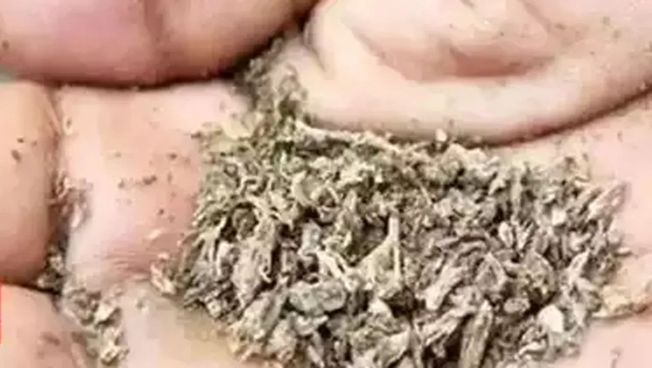 kanja