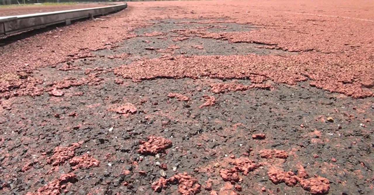 synthetic track pala