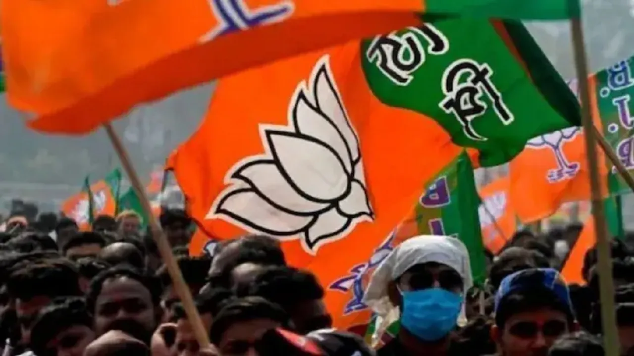 bjp Untitledkalla.jpg