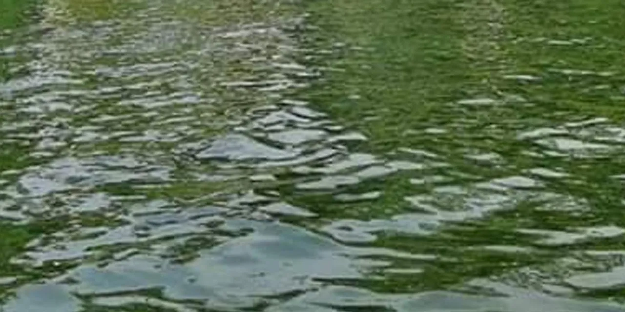 സൗദി: കൗമാരക്കാരായ സഹോദരങ്ങൾ വെള്ളക്കെട്ടിൽ മുങ്ങിമരിച്ചു