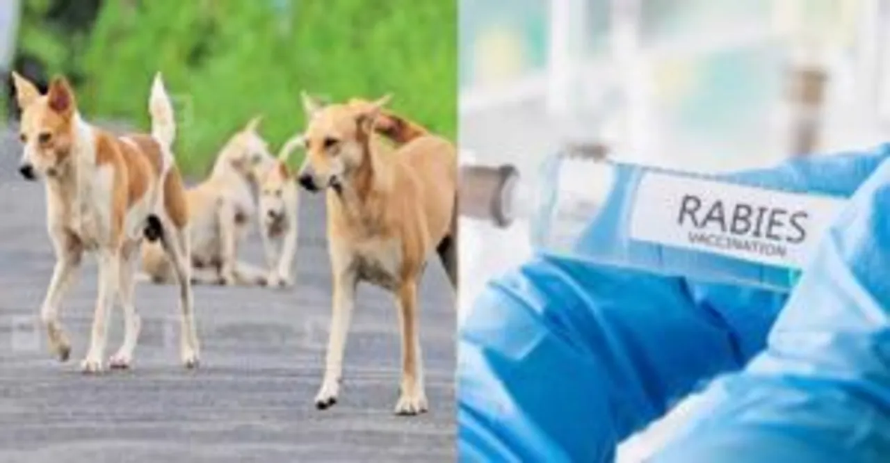 മൃഗങ്ങളുമായി ഇടപഴകുന്ന ജീവനക്കാര്‍ക്ക് സ്‌പെഷ്യല്‍ വാക്‌സീനേഷനുമായി ആരോഗ്യവകുപ്പ്