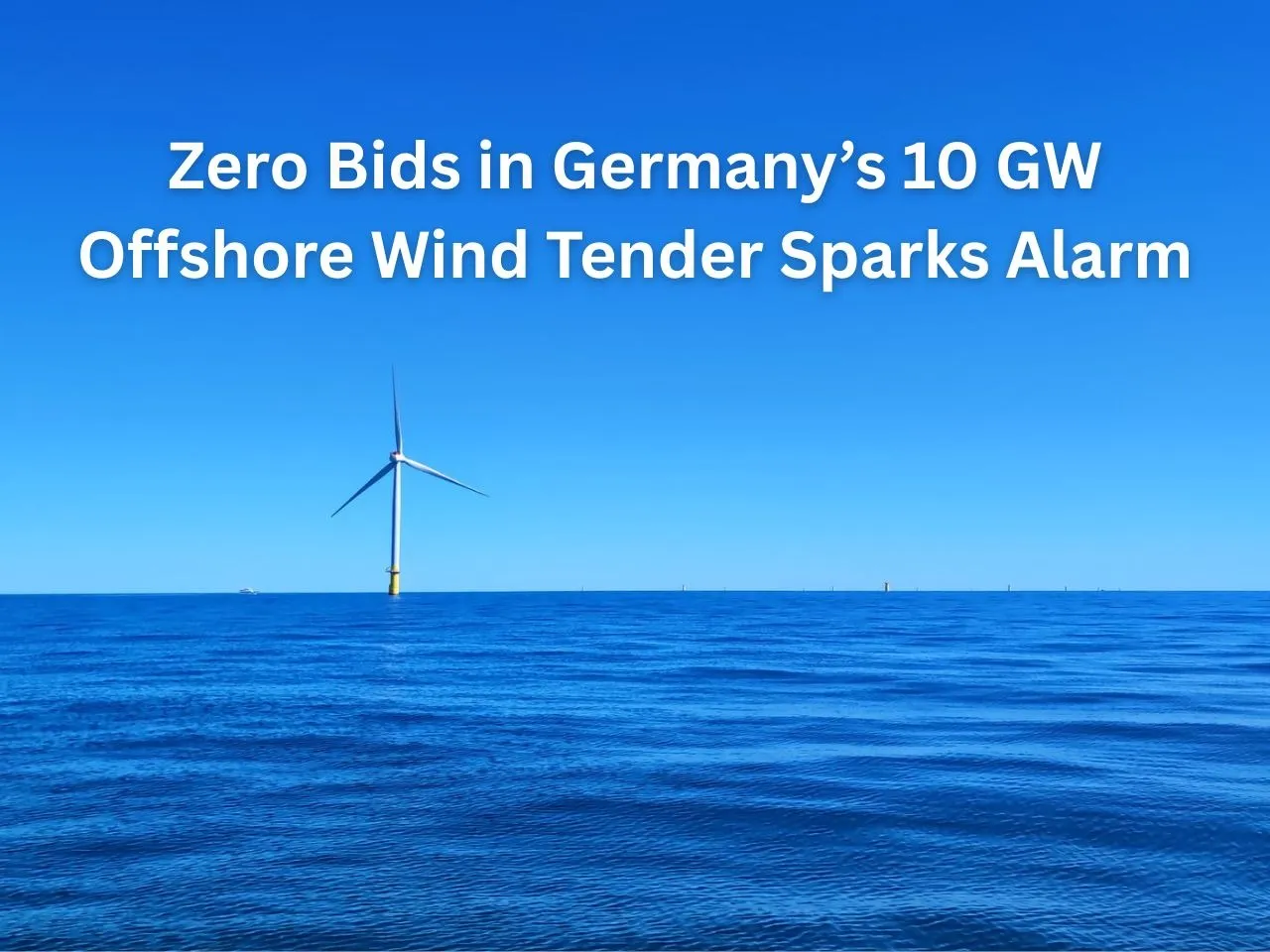 Zero Bids in Germany’s 10 GW Offshore Wind Tender Sparks Alarm