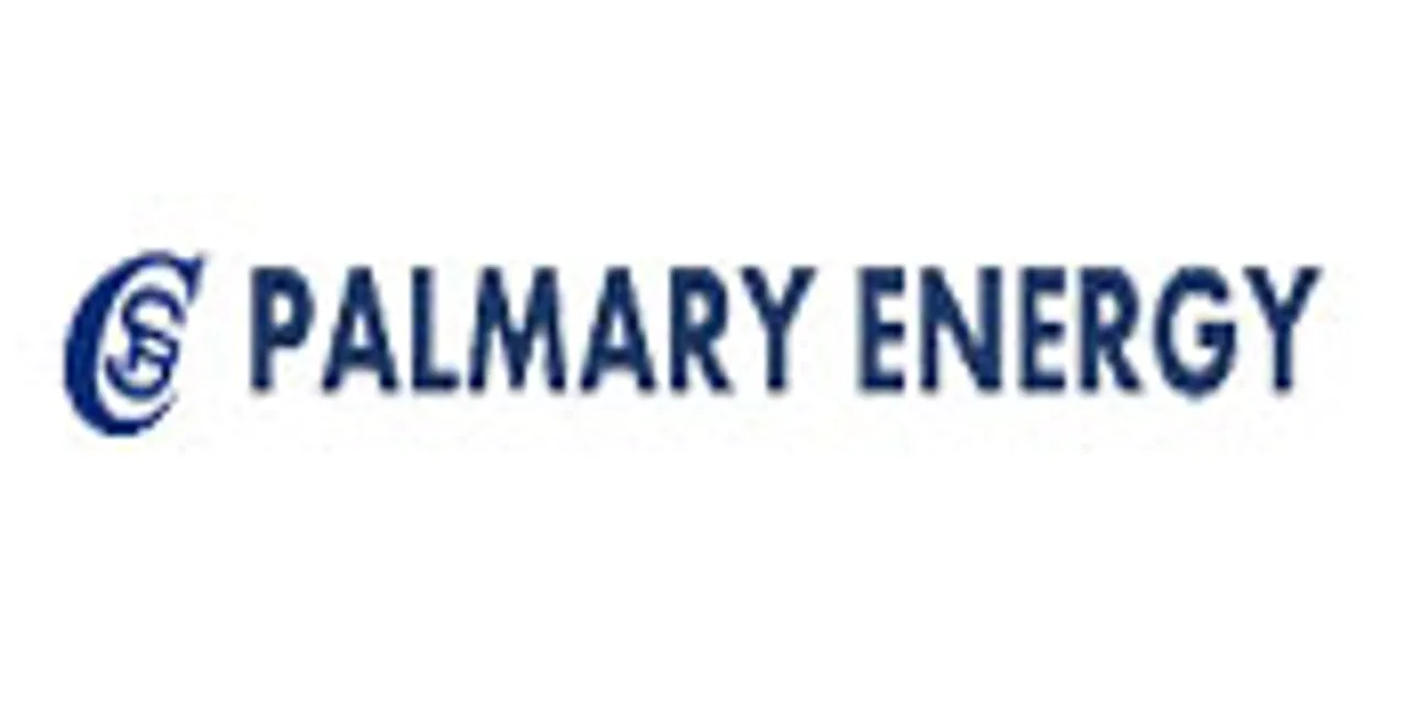 PALMARY BUSINESS SOLUTION CONSULTING PRIVATE LIMITED