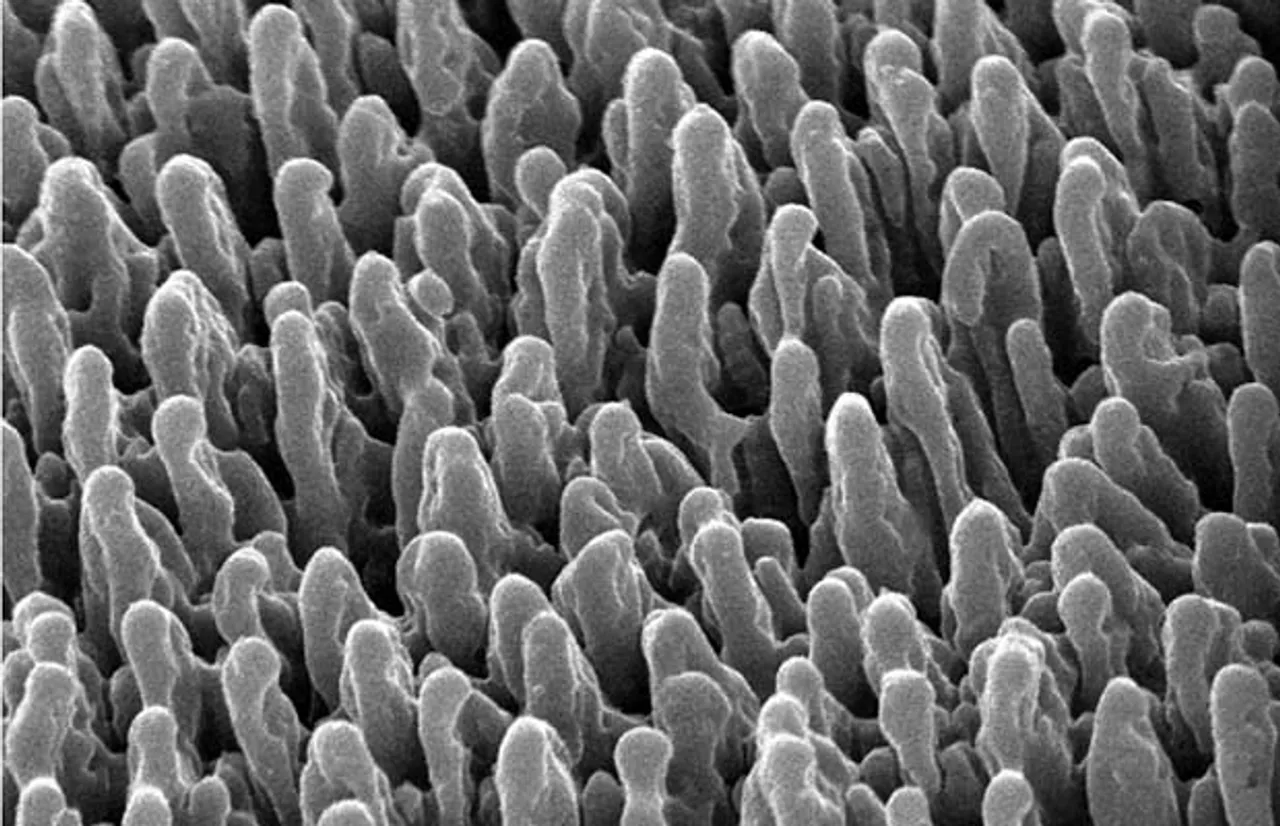 black silicon