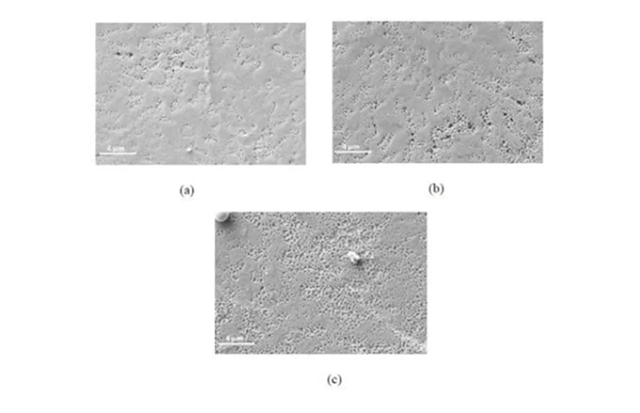 Top down SEM images of Poly Si