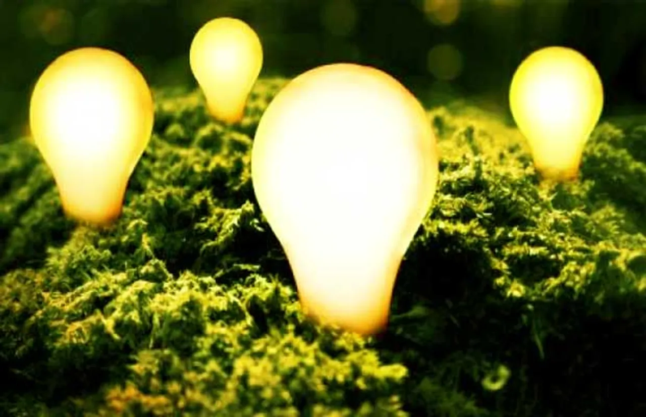 Indian IPP ReNew Power Raises $450 Mn via Dollar Bonds Route