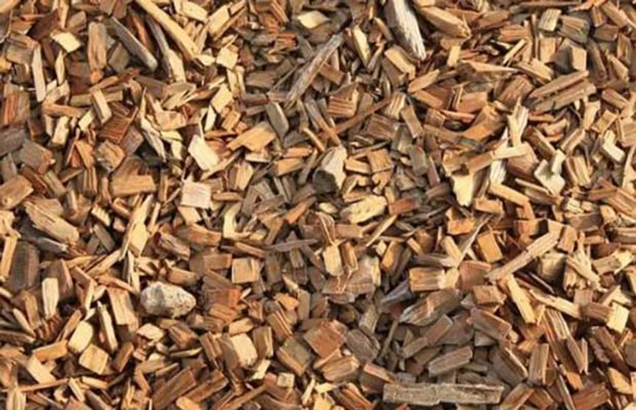 biomass