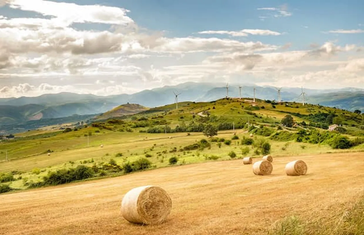 Infigen Iberdrola Bid