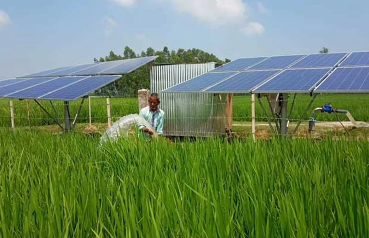 solar powered hydroponic plants