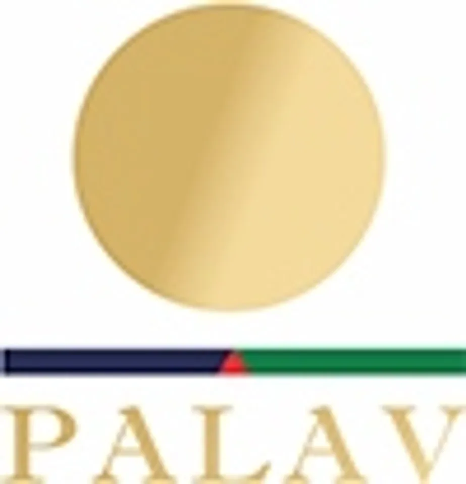 Palav Power (I) Pvt. Ltd.