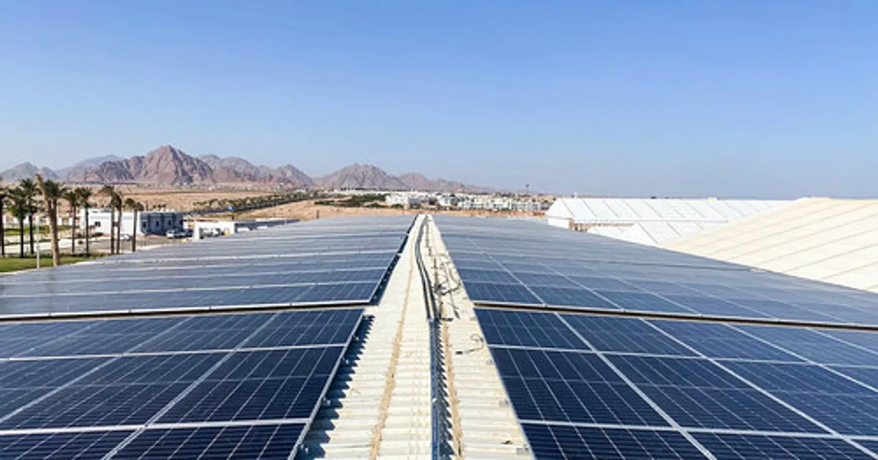 Rooftop plant tender