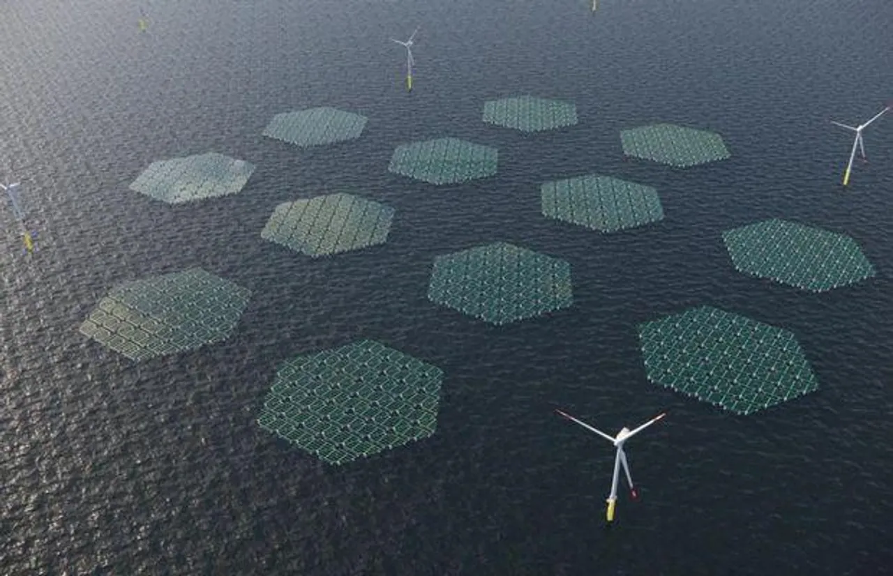 Floating Solars On Ocean Surface