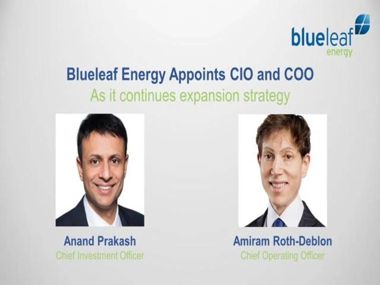 Blueleaf Energy