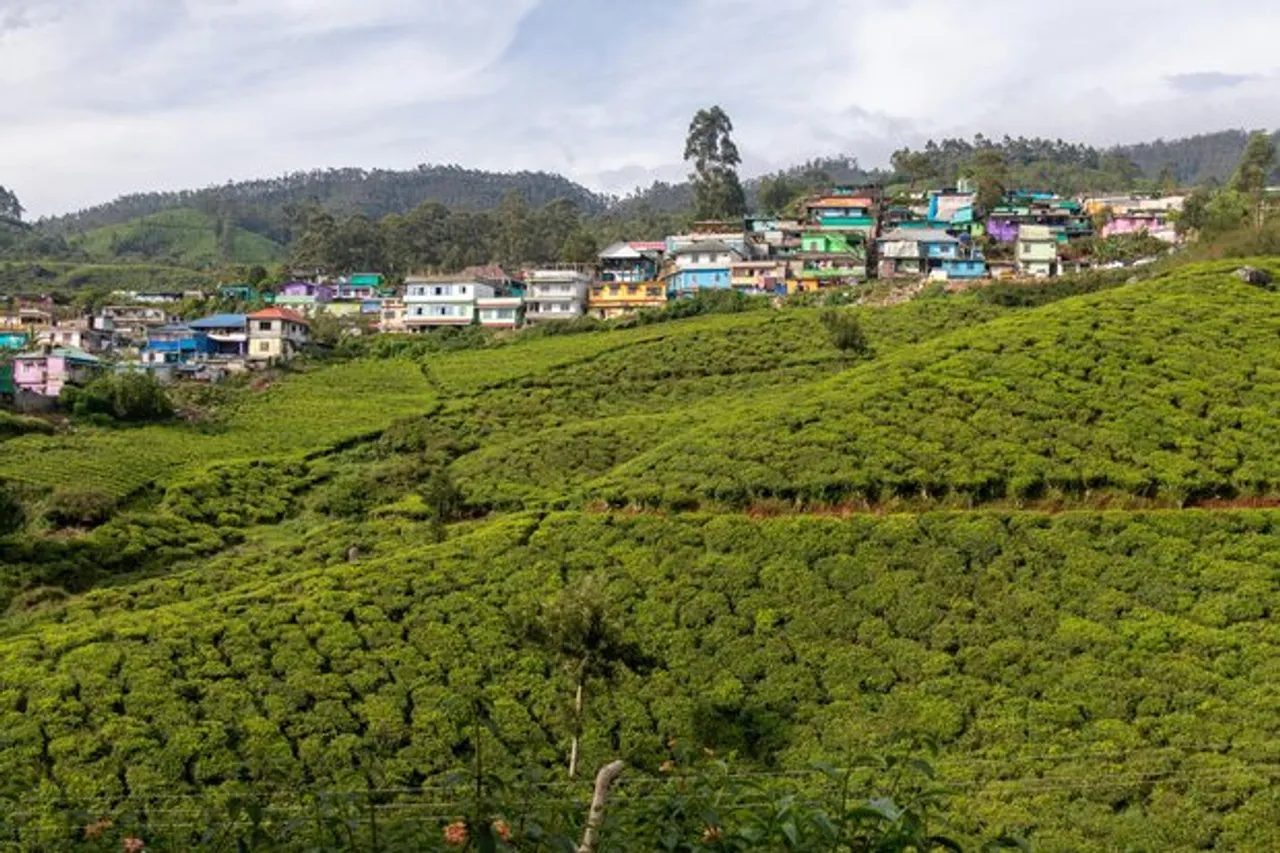 TPREL Lights Up Asia’s Largest Tea Estate With Bifacial Solar System Project