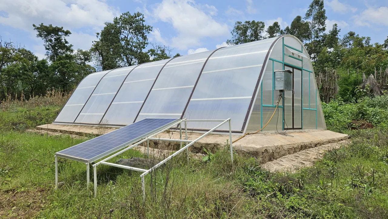 Coffee Farmers In Ethiopia Now Use Solar Dryers To Boost Output