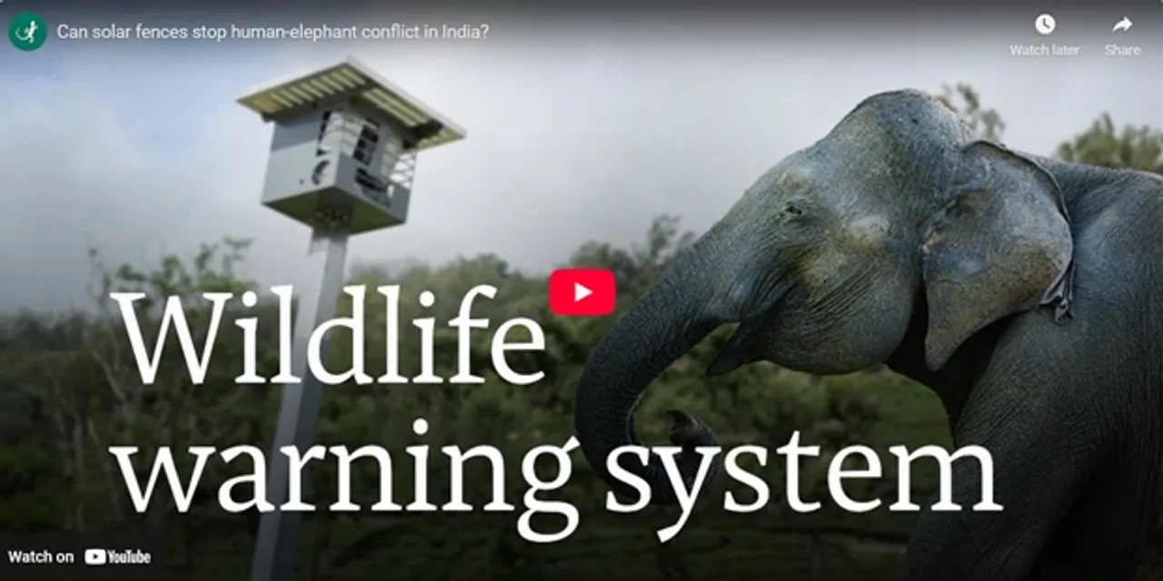 How Solar Fences Can Stop Human-Elephant Conflicts In India?