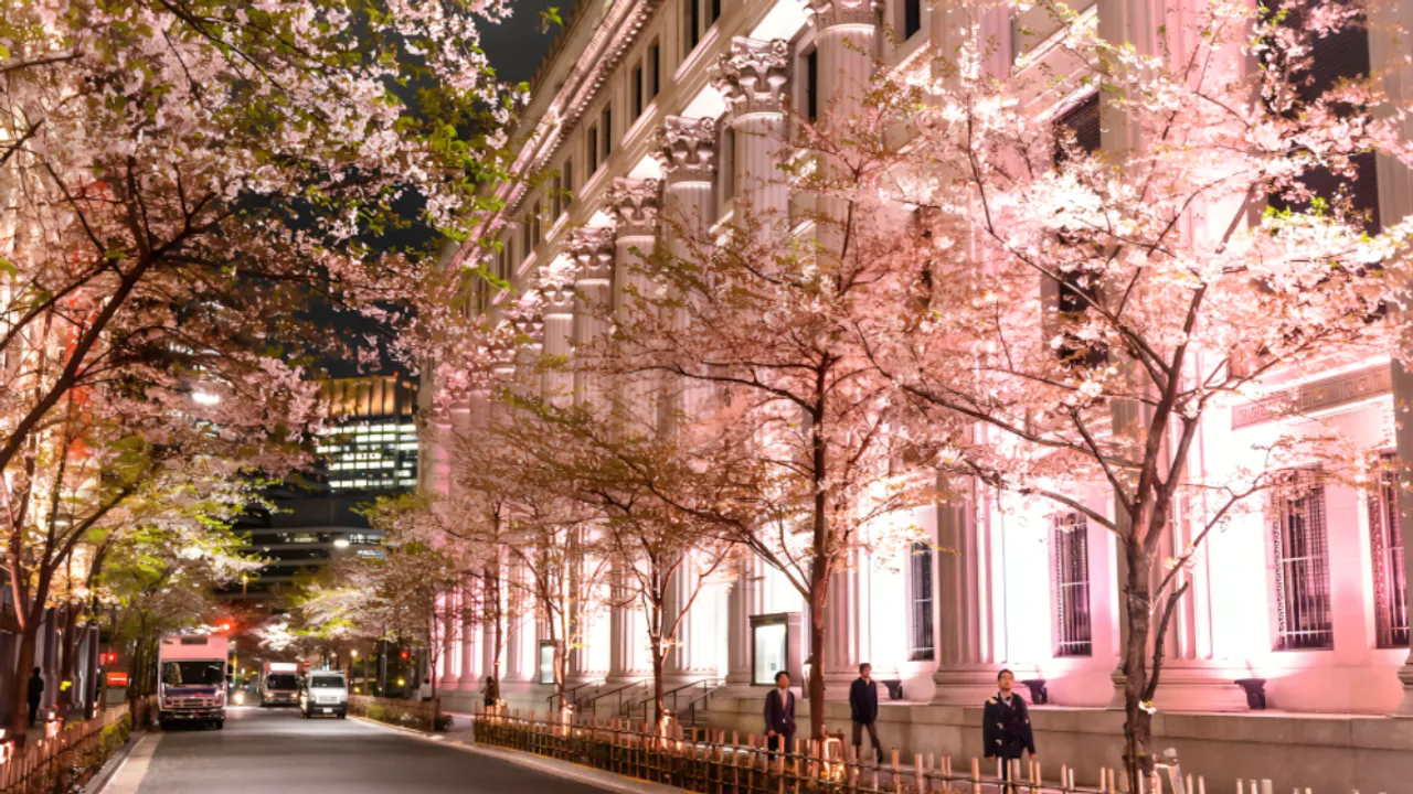 Sakura Fes Nihonbashi 2025
