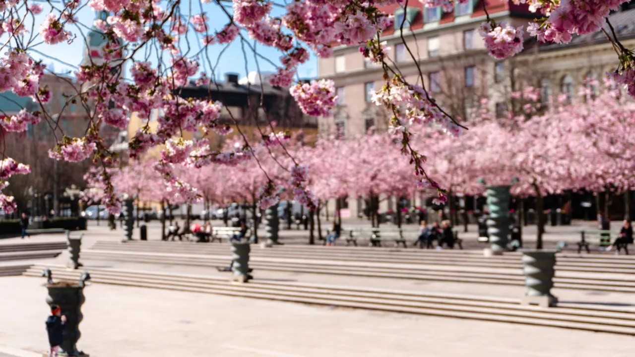 Image: Visit Stockholm