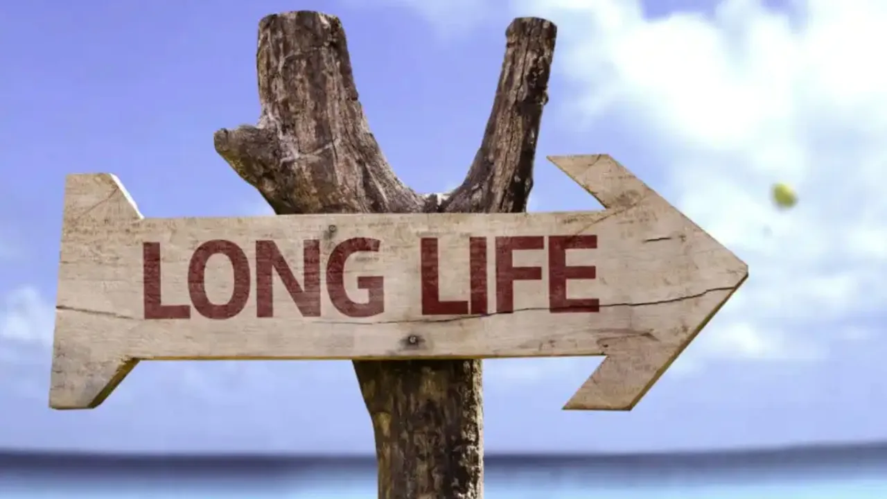 long life 