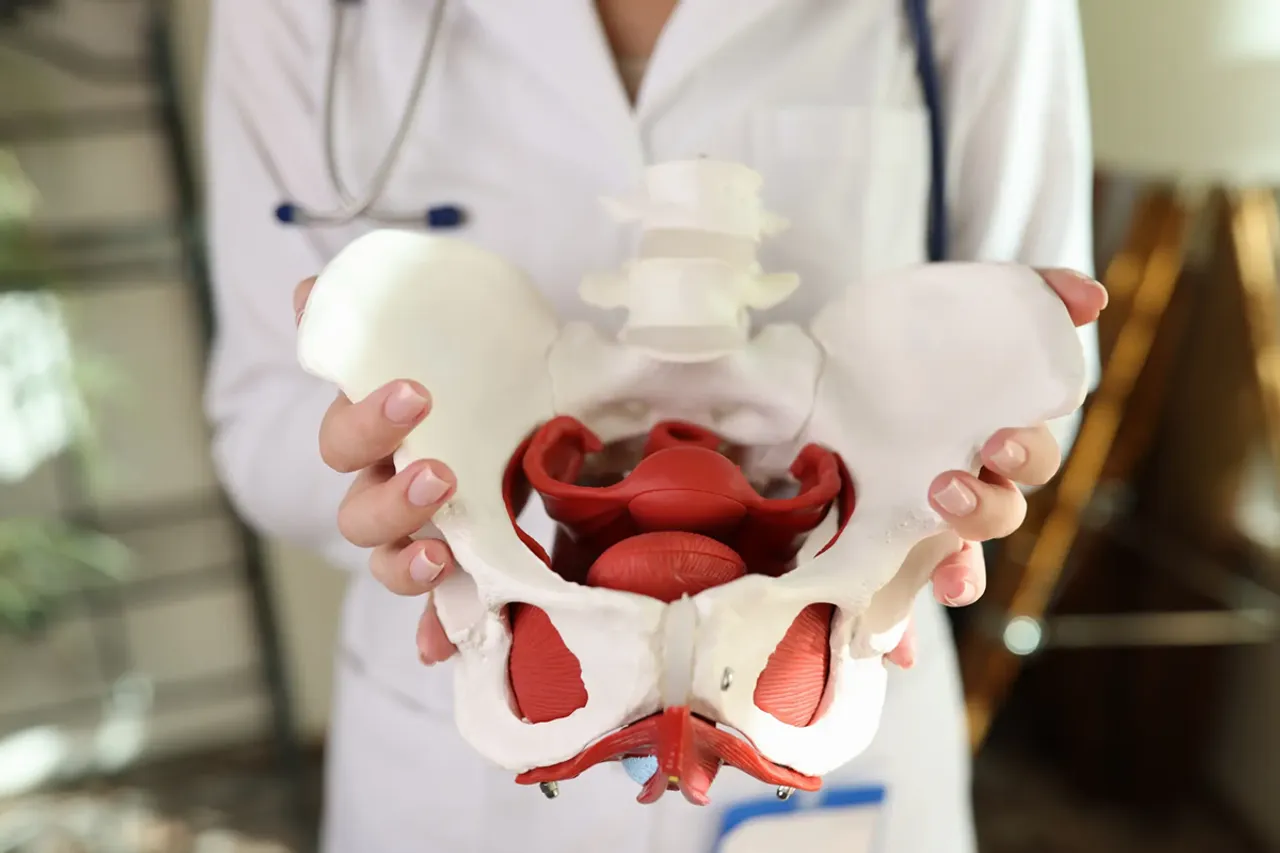 Pelvic_Health_and_Pelvic_Floor_
